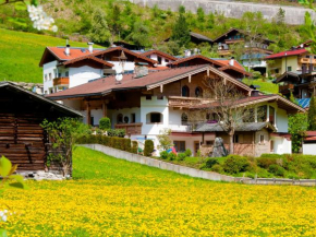 Adlerhorst, Finkenberg, Österreich, Finkenberg, Österreich